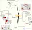 Коммуникативная компетентность и ситуация,ЯЗЫКОВАЯ ЭВОЛЮЦИЯ, Речевая и неречевая коммуникация