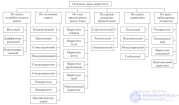 Определение, эволюция и виды маркетинга, функции маркетинга