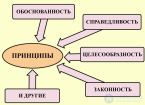 Принципы <span class='search'>права-</span> принцип целесообразности, законности, справедливости, обоснованности