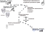 Презумпция (принцип) <span class='search'>невиновности </span>- сущность, история, особенности в разных странах