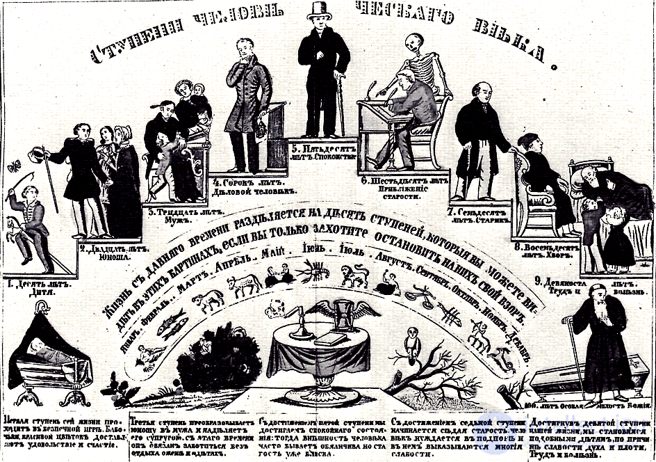 Психология развития и Возрастная психология,  Жизненные этапы психологического развития