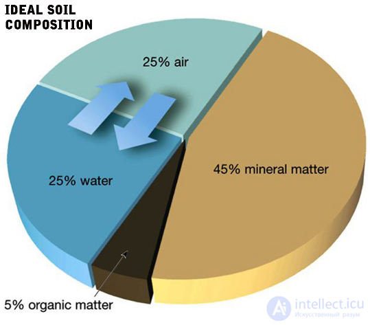 СОСТАВ И СВОЙСТВА МИНЕРАЛЬНОЙ И ОРГАНИЧЕСКОЙ ЧАСТЕЙ ПОЧВЫ