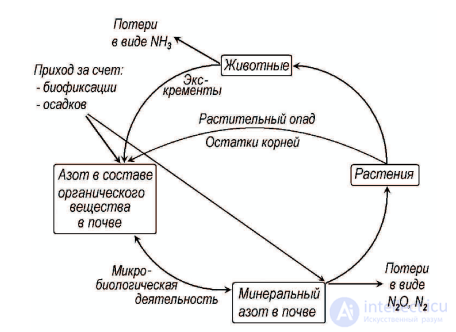 КРУГОВОРОТ И БАЛАНС ПИТАТЕЛЬНЫХ ВЕЩЕСТВ  калия, азота