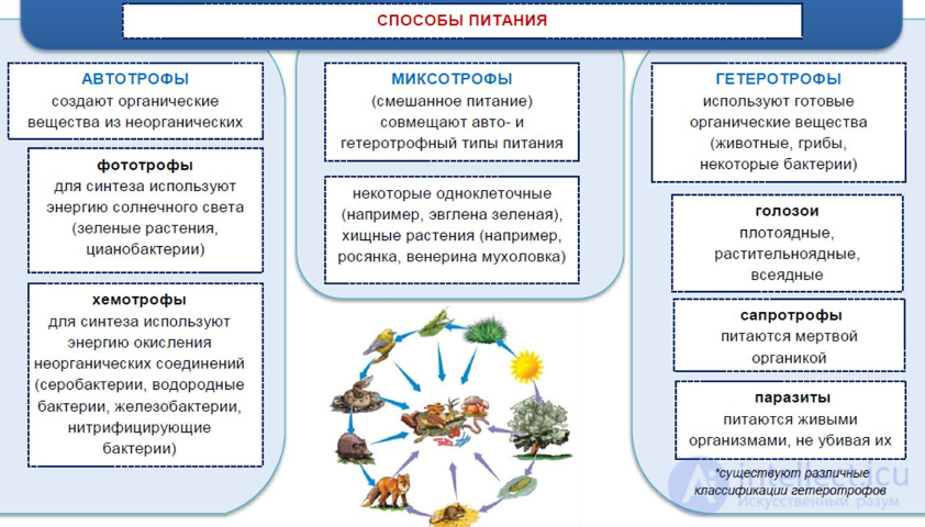 ТИПЫ ПИТАНИЯ РАСТЕНИЙ