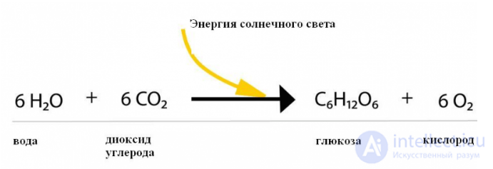 ВОЗДУШНОЕ ПИТАНИЕ РАСТЕНИЙ (ФОТОСИНТЕЗ)