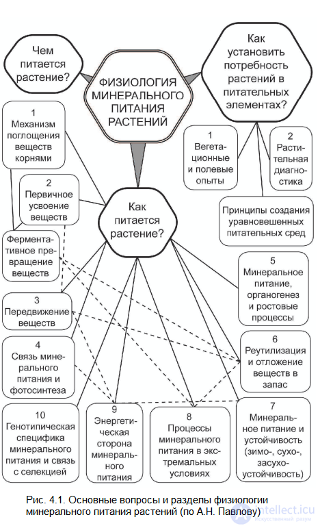 МИНЕРАЛЬНОЕ (КОРНЕВОЕ) ПИТАНИЕ РАСТЕНИЙ