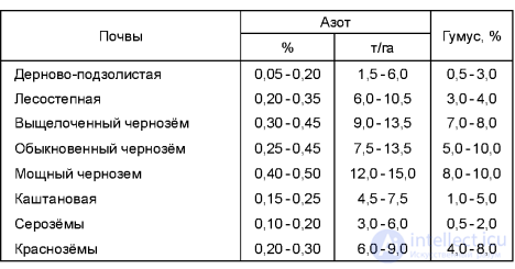 МАКРОЭЛЕМЕНТ - АЗОТ - ЕГО ЗНАЧЕНИЕ   В ПИТАНИИ РАСТЕНИИ