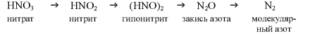 МАКРОЭЛЕМЕНТ - АЗОТ - ЕГО ЗНАЧЕНИЕ   В ПИТАНИИ РАСТЕНИИ