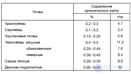 МАКРОЭЛЕМЕНТ - АЗОТ - ЕГО ЗНАЧЕНИЕ   В ПИТАНИИ РАСТЕНИИ