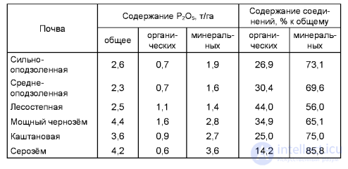 МАКРОЭЛЕМЕНТ - ФОСФОР- ЕГО ЗНАЧЕНИЕ В ПИТАНИИ РАСТЕНИИ