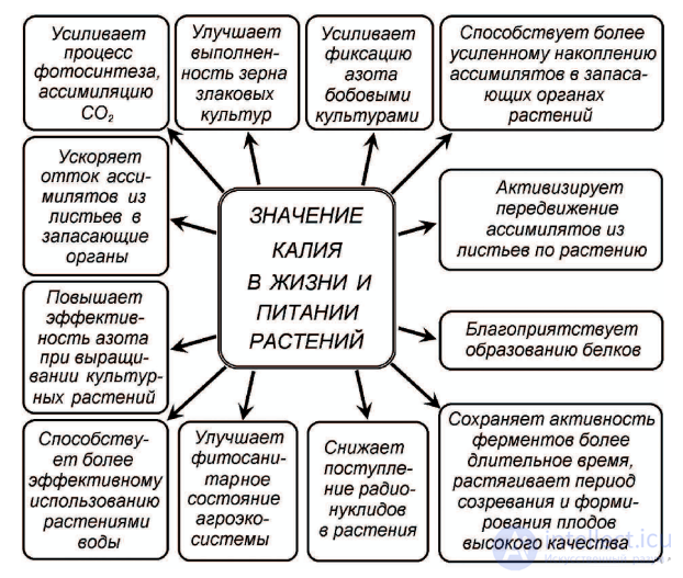 МАКРОЭЛЕМЕНТ - КАЛИЙ- ЕГО ЗНАЧЕНИЕ В ПИТАНИИ РАСТЕНИИ