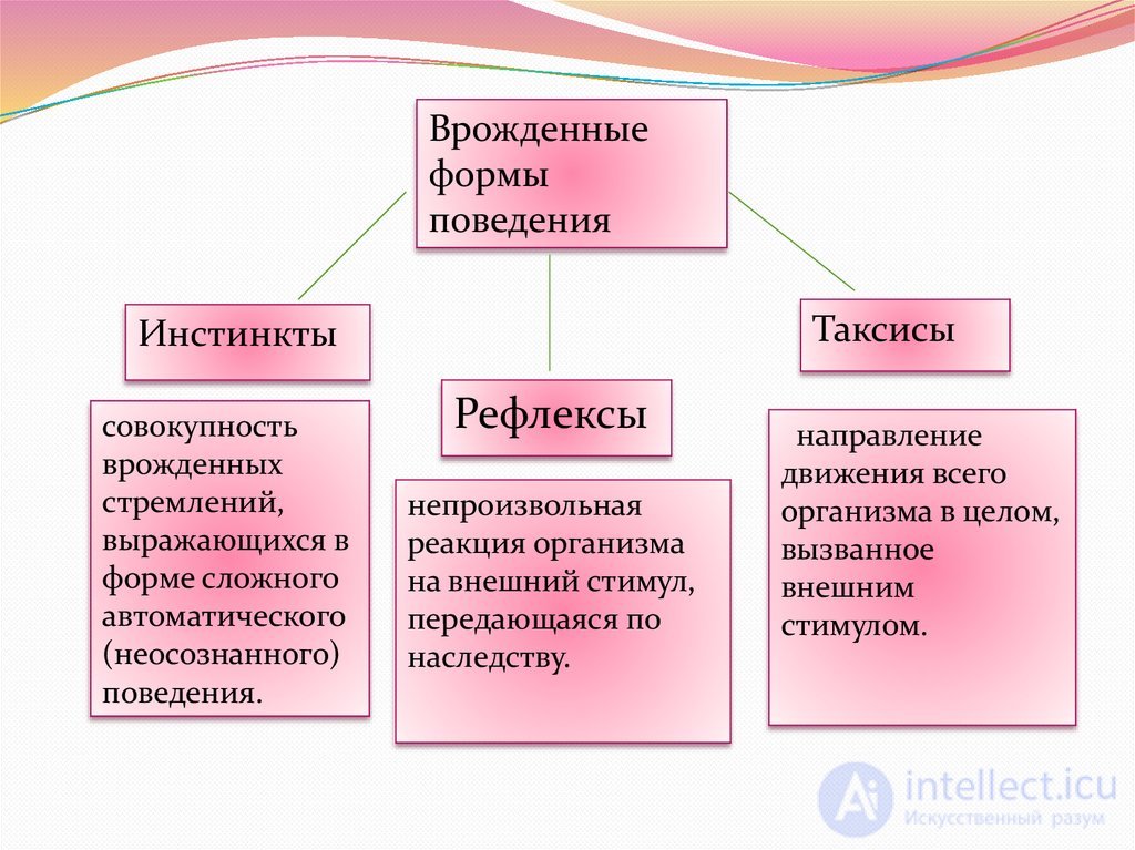 Тесты с ответами и схемами по теме - Общая психология