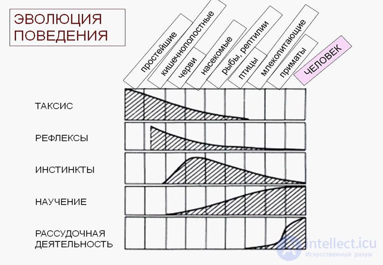 Тесты с ответами и схемами по теме - Общая психология