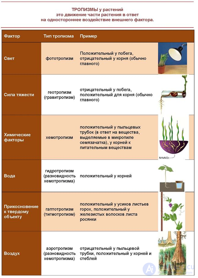 Тесты с ответами и схемами по теме - Общая психология