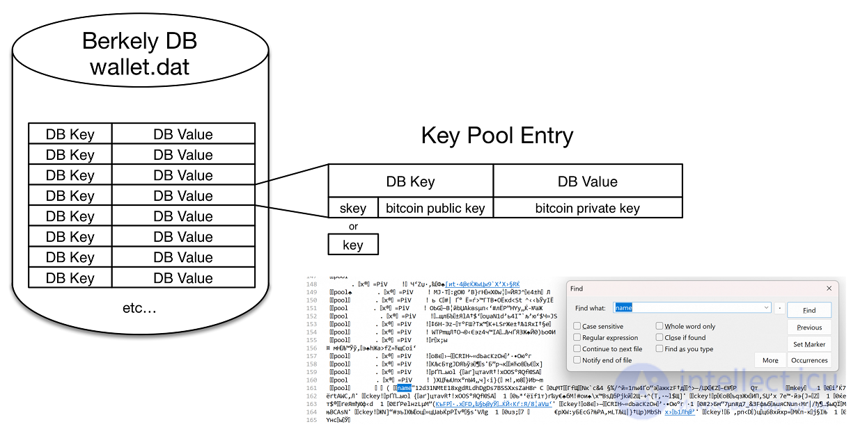 btc wallet.dat  структура файла и способы хранения кошельков