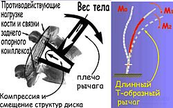 Поза виды, примеры, применение