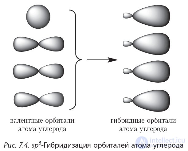 2.7. Пространственное строение молекул алканов. sp3-Гибридизация