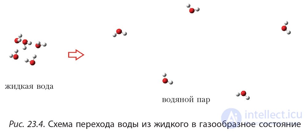 23. Физические свойства спиртов. Водородная связь и её влияние на свойства спиртов