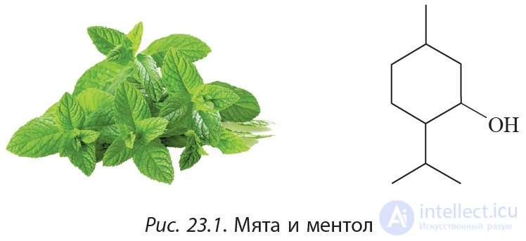 23. Физические свойства спиртов. Водородная связь и её влияние на свойства спиртов