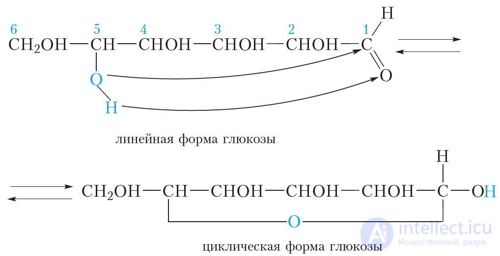 40. Углеводы. Глюкоза
