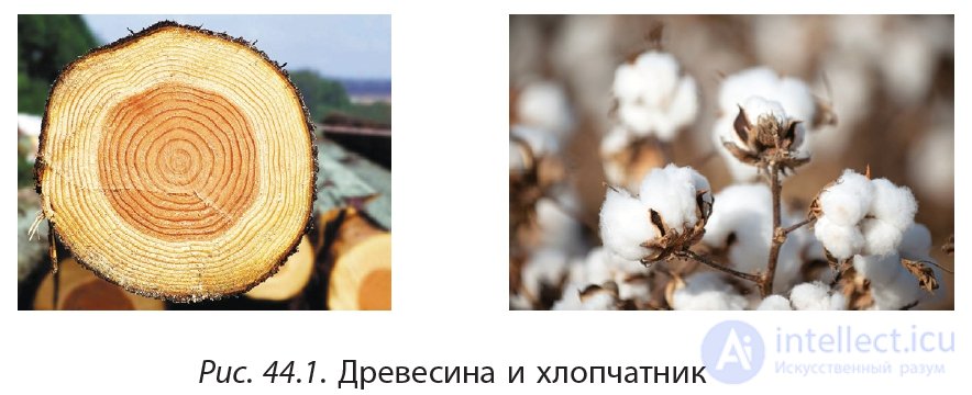 3.44. Целлюлоза Строение, физические и Химические свойства , Применение