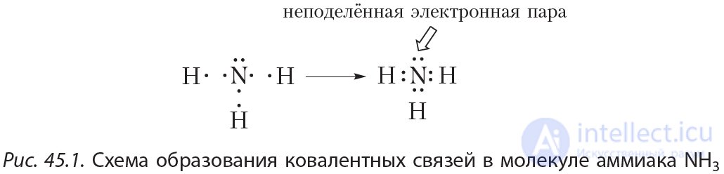 ГЛАВА 4. АЗОТСОДЕРЖАЩИЕ ОРГАНИЧЕСКИЕ СОЕДИНЕНИЯ  § 45. Строение и физические свойства аминов