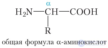 4.48 Белки Свойства белков