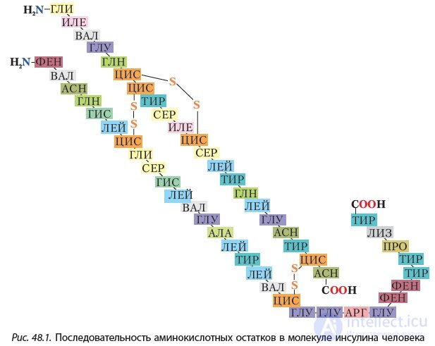4.48 Белки Свойства белков