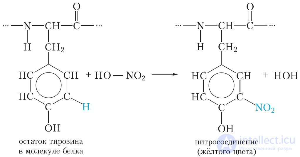 4.48 Белки Свойства белков
