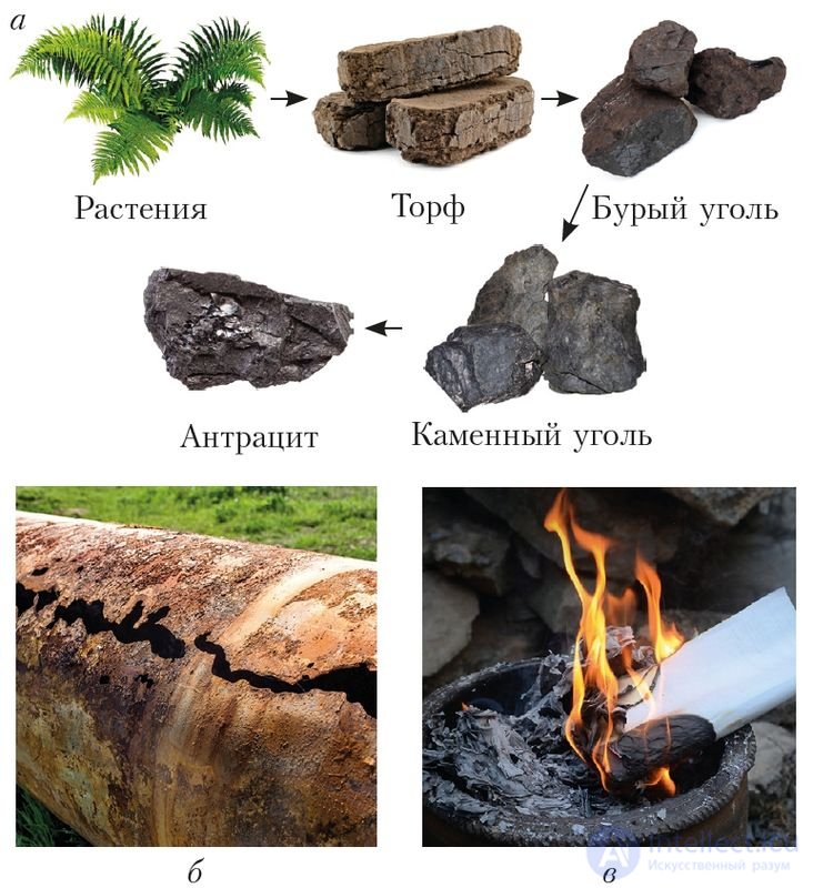 4.20. Скорость химических реакций