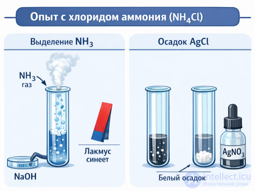 Практическая работа 3. Решение экспериментальных задач по теме «Неметаллы»