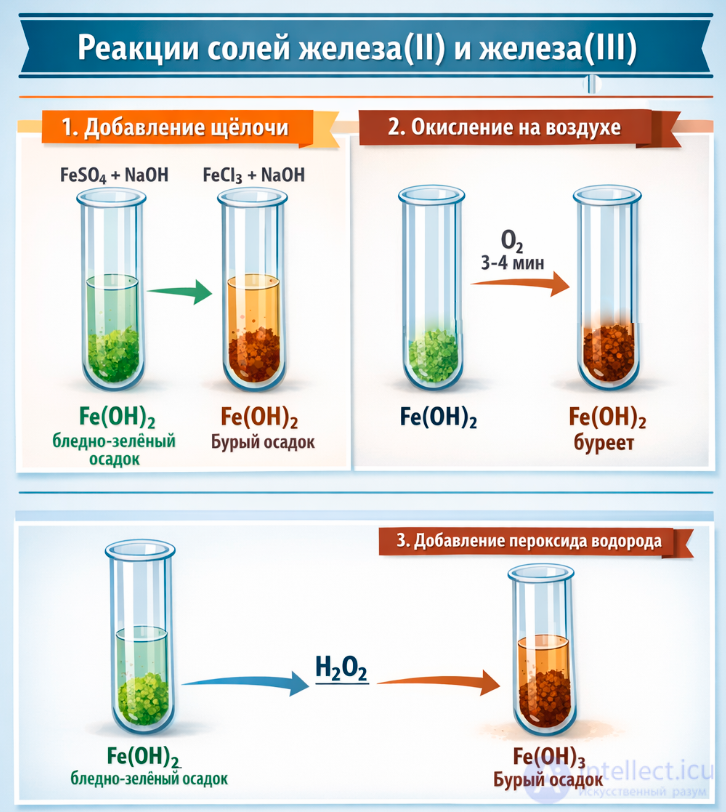Лабораторный опыт 9.1*. Обнаружение ионов железа(II) и железа(III) в растворах