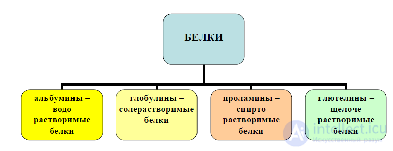 2 Аминокислоты и белки