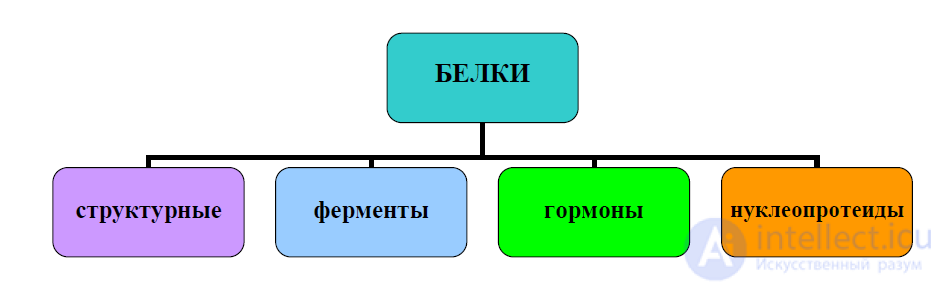 2 Аминокислоты и белки