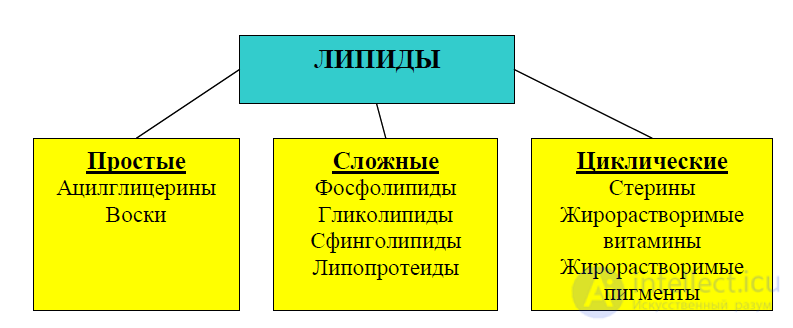 Липиды в пищевой химии