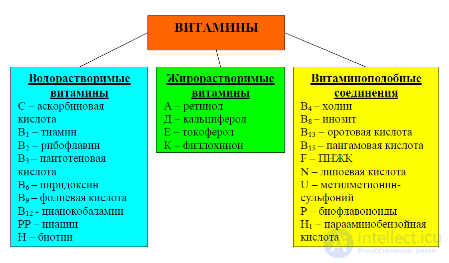 5 Витамины в пищевой химии