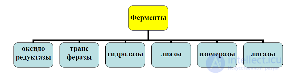 7 Ферменты. Ферментные препараты в пищевой химии