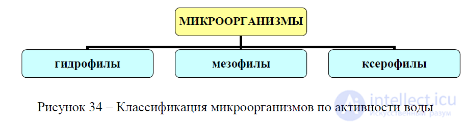 8 Вода в пищевой химии
