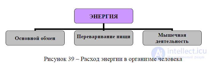11 Питание. Теории питания