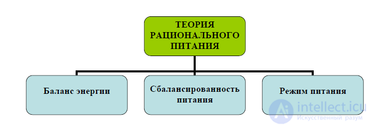 11 Питание. Теории питания