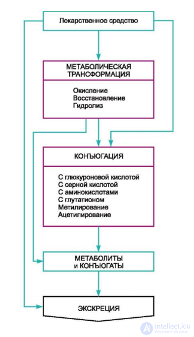 Основы фармакологии, применение лекарственных препаратов