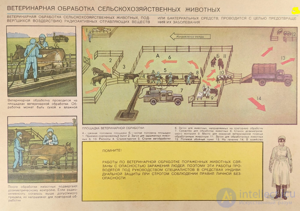 Ветеринарная обработка животных (дегазация)