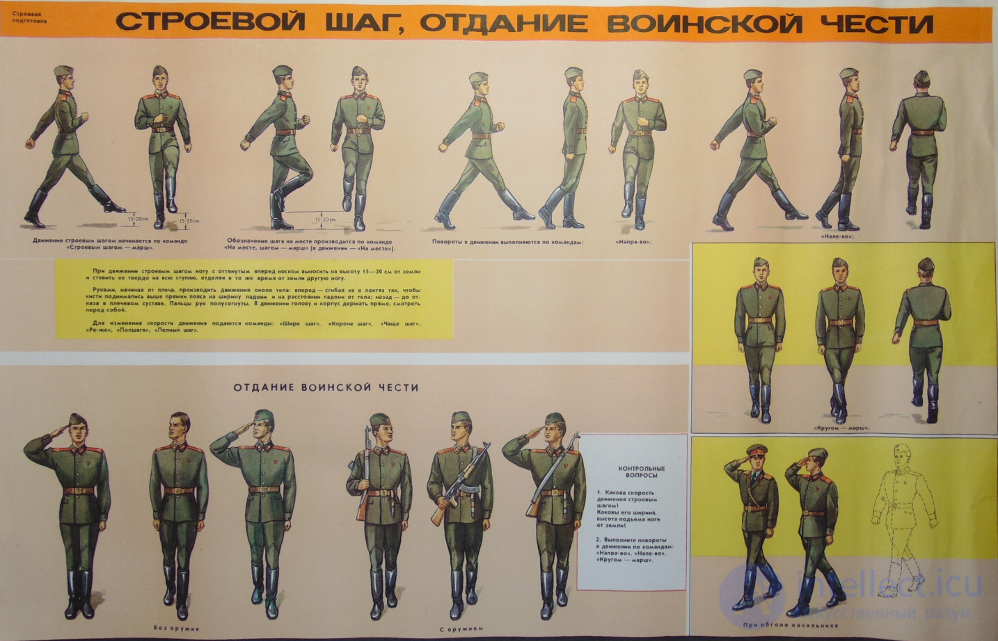 1. Строевые приемы и движение без оружия, Строевая стойка, Строевой шаг