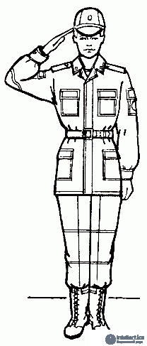 2. Выполнение воинского приветствия,  Выход из строя и возвращение в строй. Подход к начальнику и отход от него