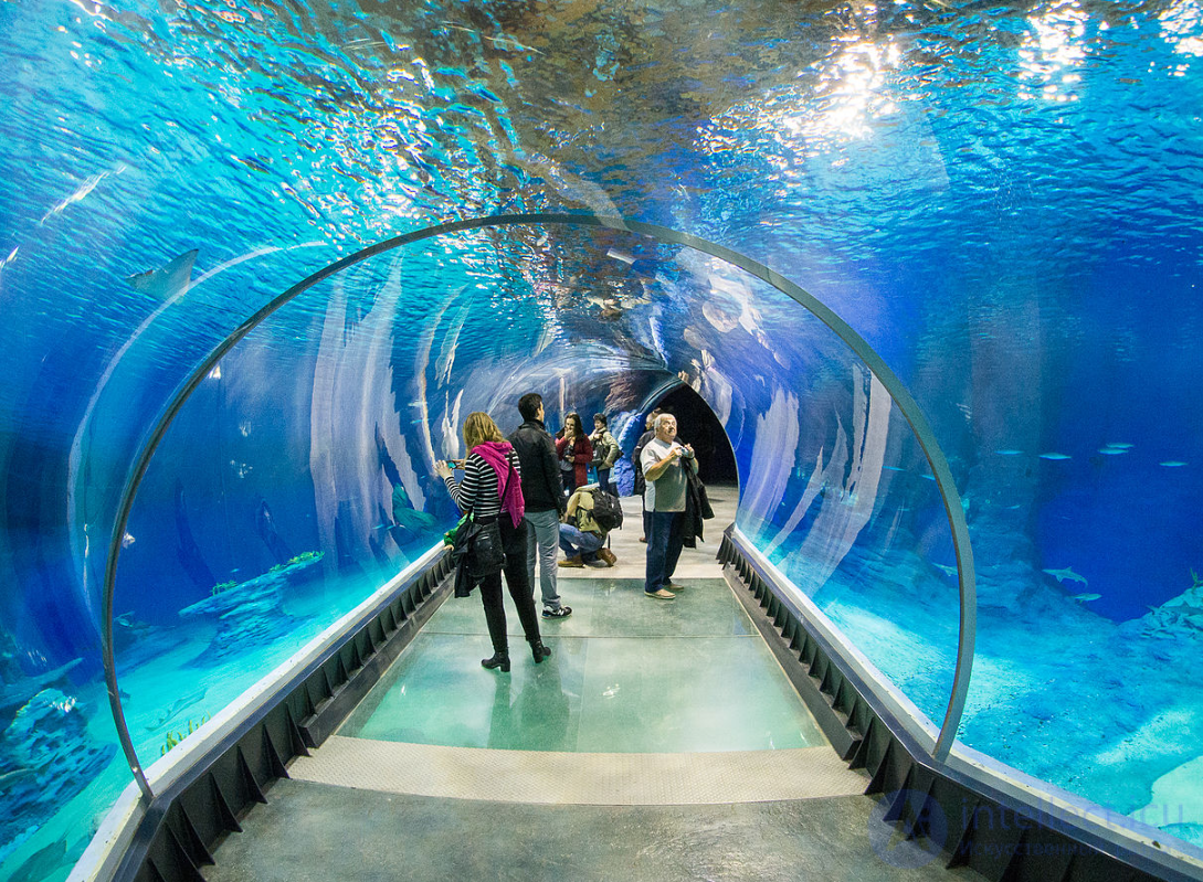 Стили, элементы, методы, принципы ландшафтного дизайна в материальной архитектуре и компьютерных играх