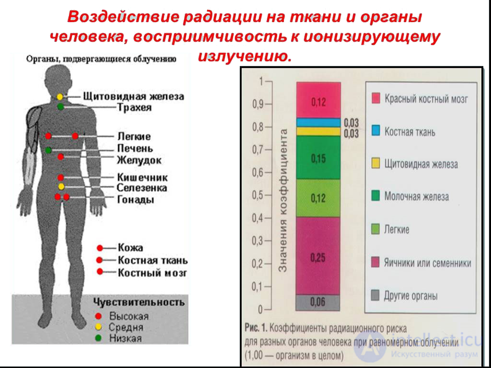 Лучевая болезнь виды, признаки, причины
