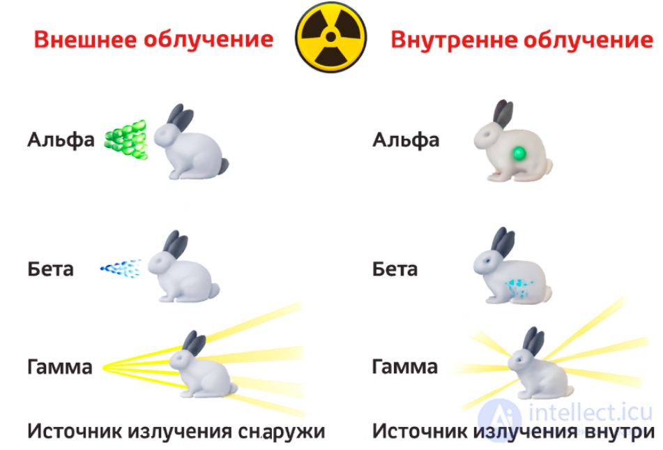 Лучевая болезнь виды, признаки, причины