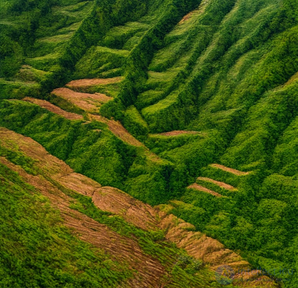 14 Военно-геологическое дешифрирование аэрофотоснимков