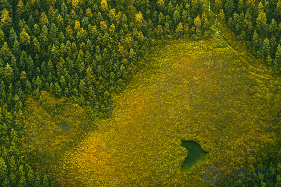 Гидрологическое дешифрирование аэрофотоснимков