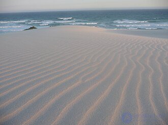 Эмерджентность в теории систем и системном анализе